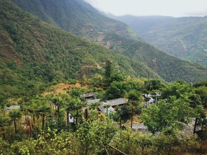 富硒高山云雾普洱茶价格