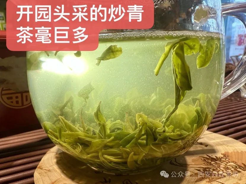 如何泡紫阳富硒茶喝好喝