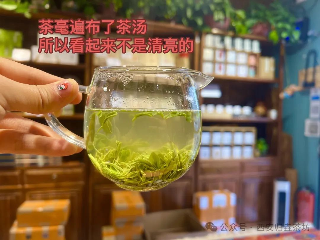 如何泡紫阳富硒茶喝好喝