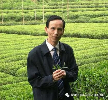 如何泡紫阳富硒茶喝好喝