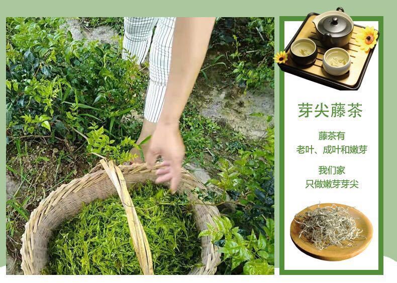 恩施富硒藤茶功效与作用