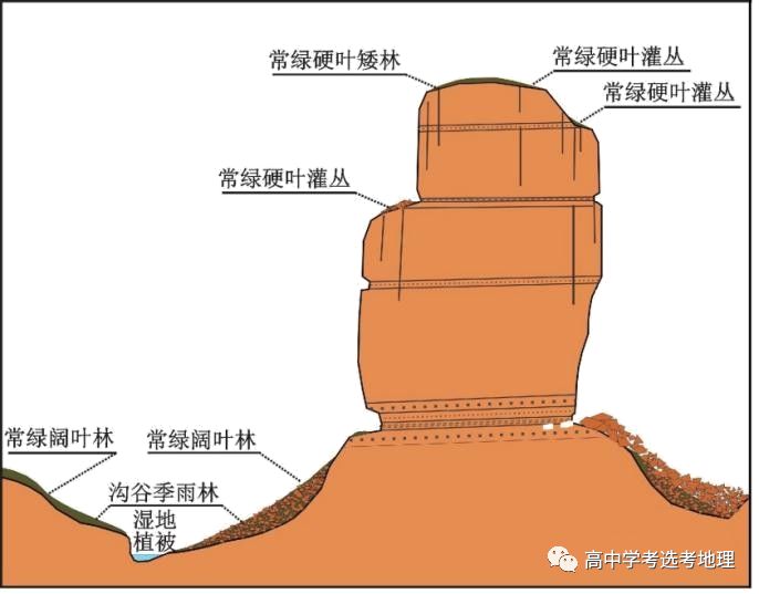 赤道富硒茶的功效与作用