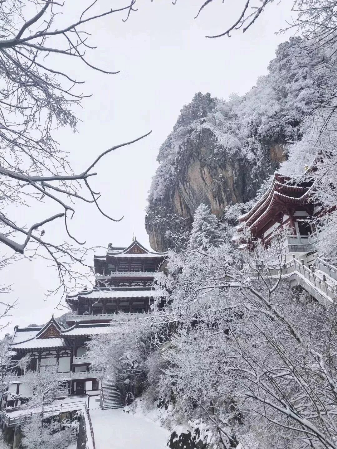 如何泡紫阳富硒茶喝最好