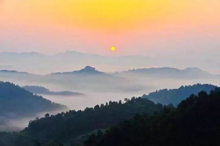 如何泡紫阳富硒茶喝最好