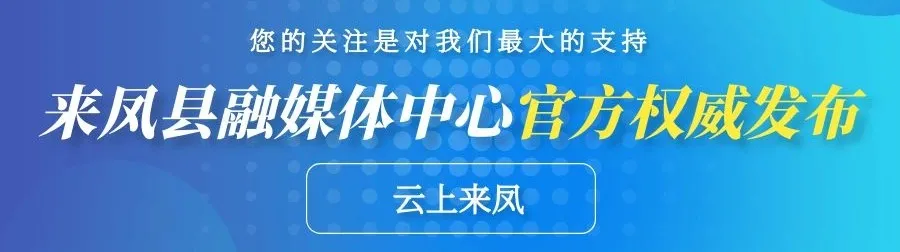 富硒藤茶怎样制作的视频