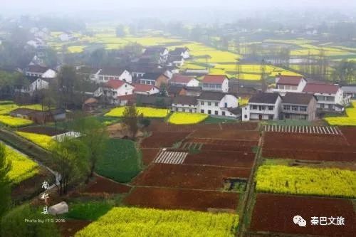 西安卖紫阳富硒茶的地方