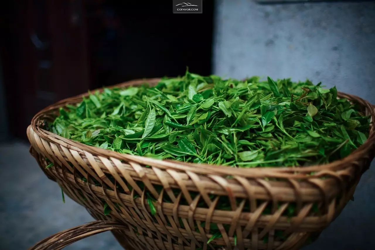 西安卖紫阳富硒茶的地方