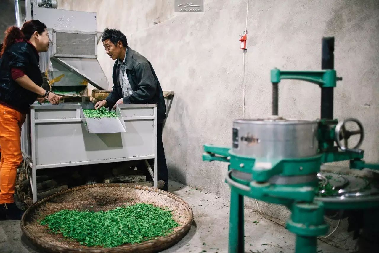 西安卖紫阳富硒茶的地方