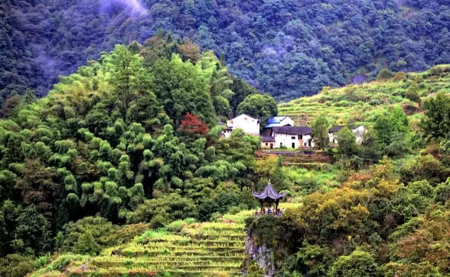 石台富硒茶在哪里生产的