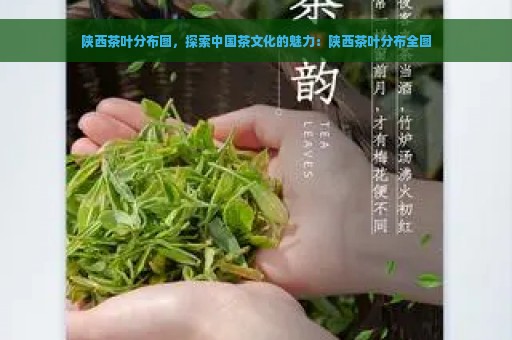 陕西茶叶分布图，探索中国茶文化的魅力：陕西茶叶分布全图