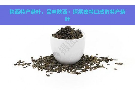 陕西特产茶叶，品味陕西：探索独特口感的特产茶叶