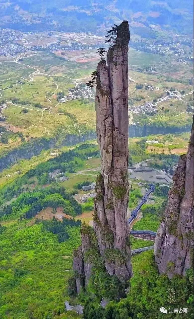 玉露和富硒茶哪个好喝点