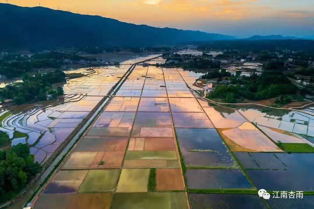 玉露和富硒茶哪个好喝点