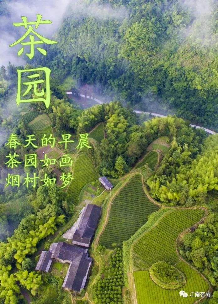 玉露和富硒茶哪个好喝点