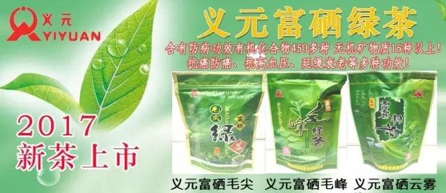 富硒茶什么原料最好喝呢