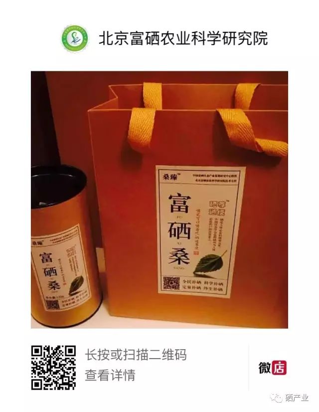 富硒桑叶茶什么时候喝好