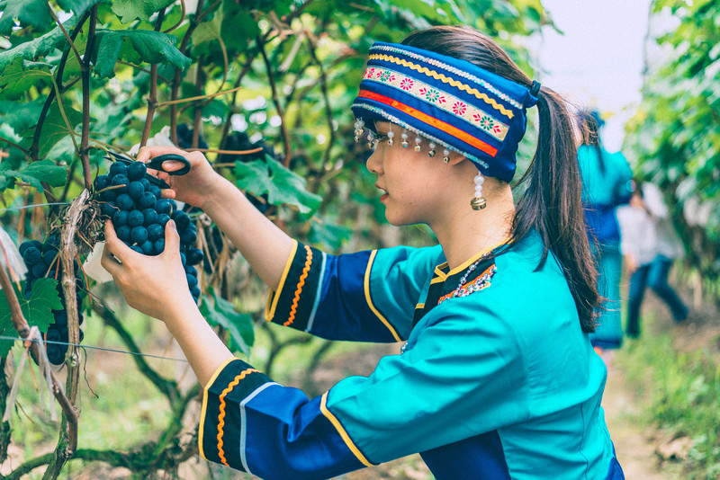 富硒桑叶茶什么时候喝好