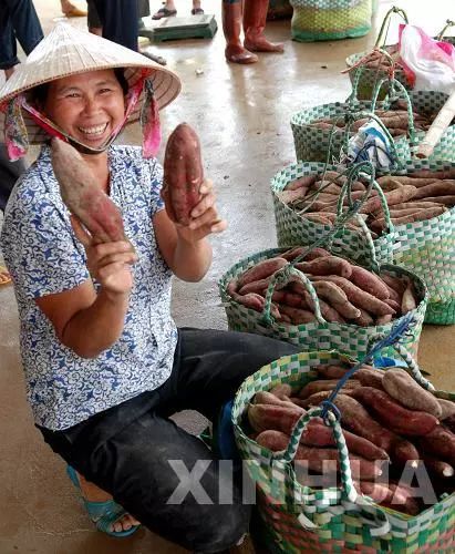 富硒茶属于凉性还是热性