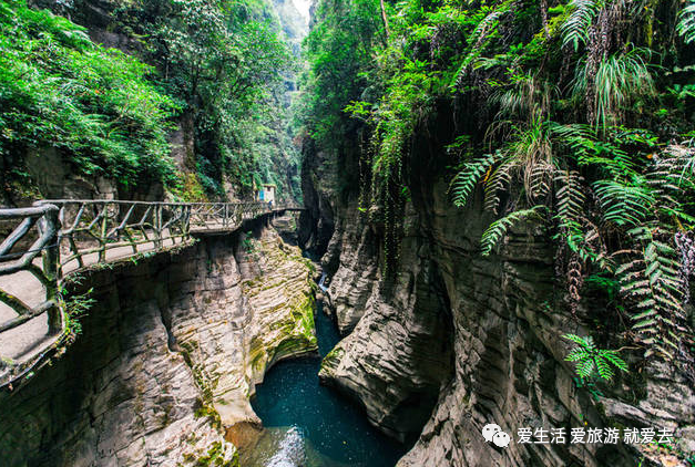 如何在恩施当地买富硒茶