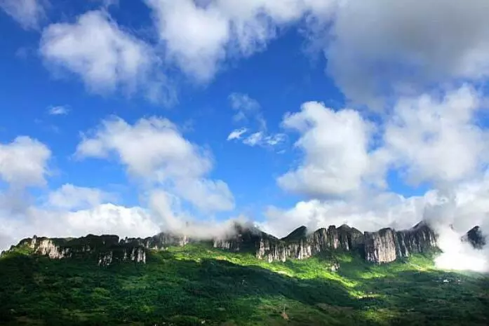 如何在恩施当地买富硒茶