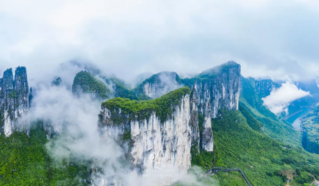 如何在恩施当地买富硒茶