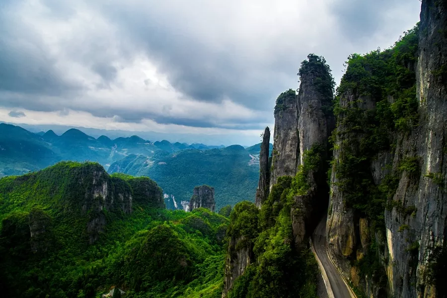 如何在恩施当地买富硒茶