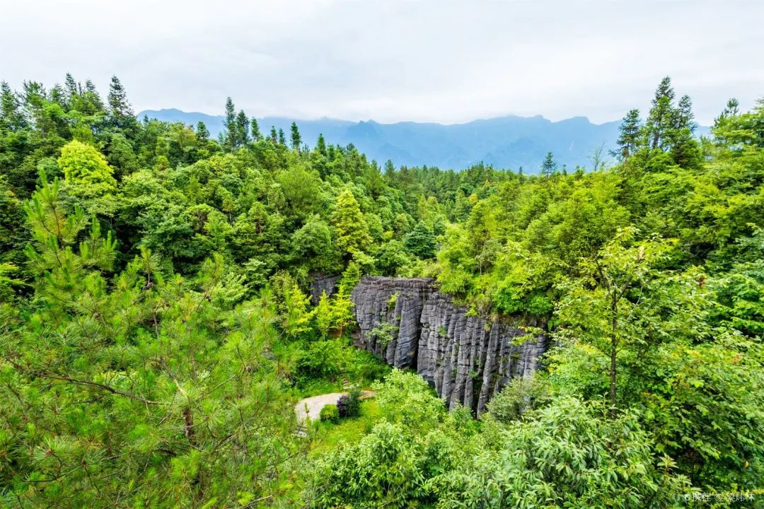 如何在恩施当地买富硒茶