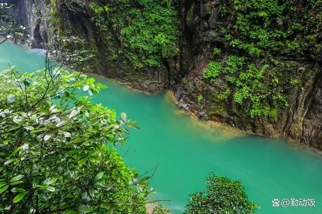 在贵阳哪里买开阳富硒茶