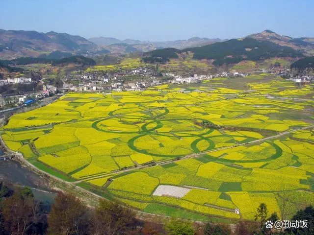 在贵阳哪里买开阳富硒茶