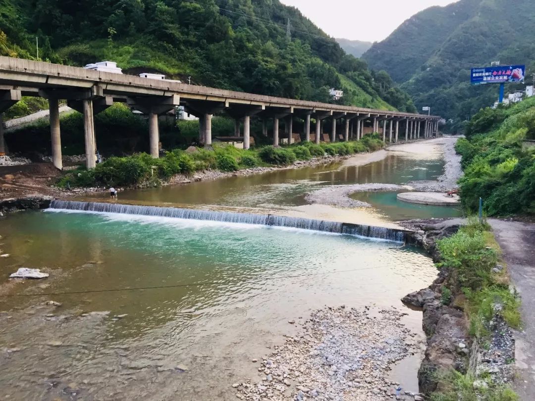 西安哪里买紫阳富硒茶好