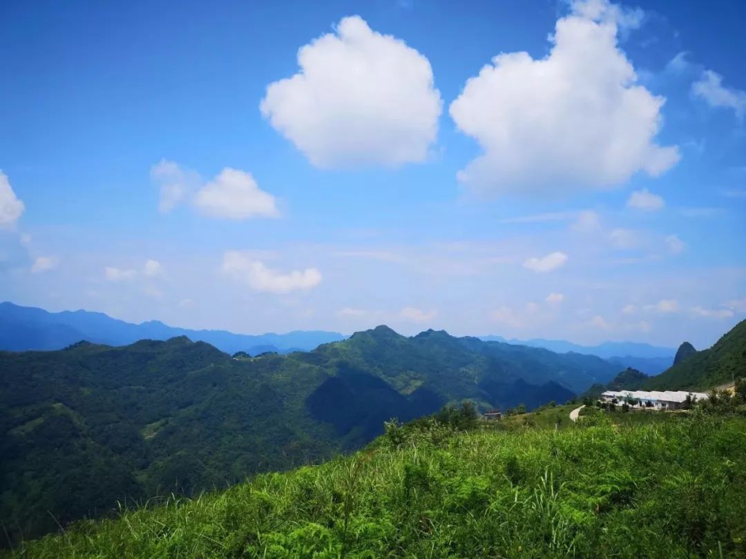 西安哪里买紫阳富硒茶好