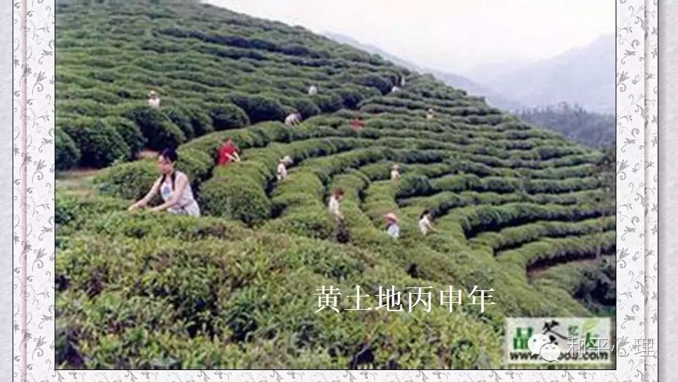 紫阳富硒茶网络中心地址