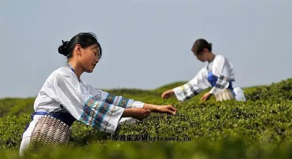 贵州哪些地方产富硒茶呢