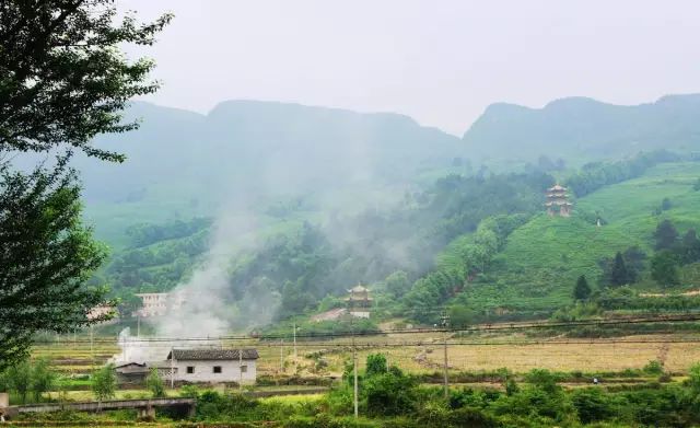 贵州哪些地方产富硒茶呢