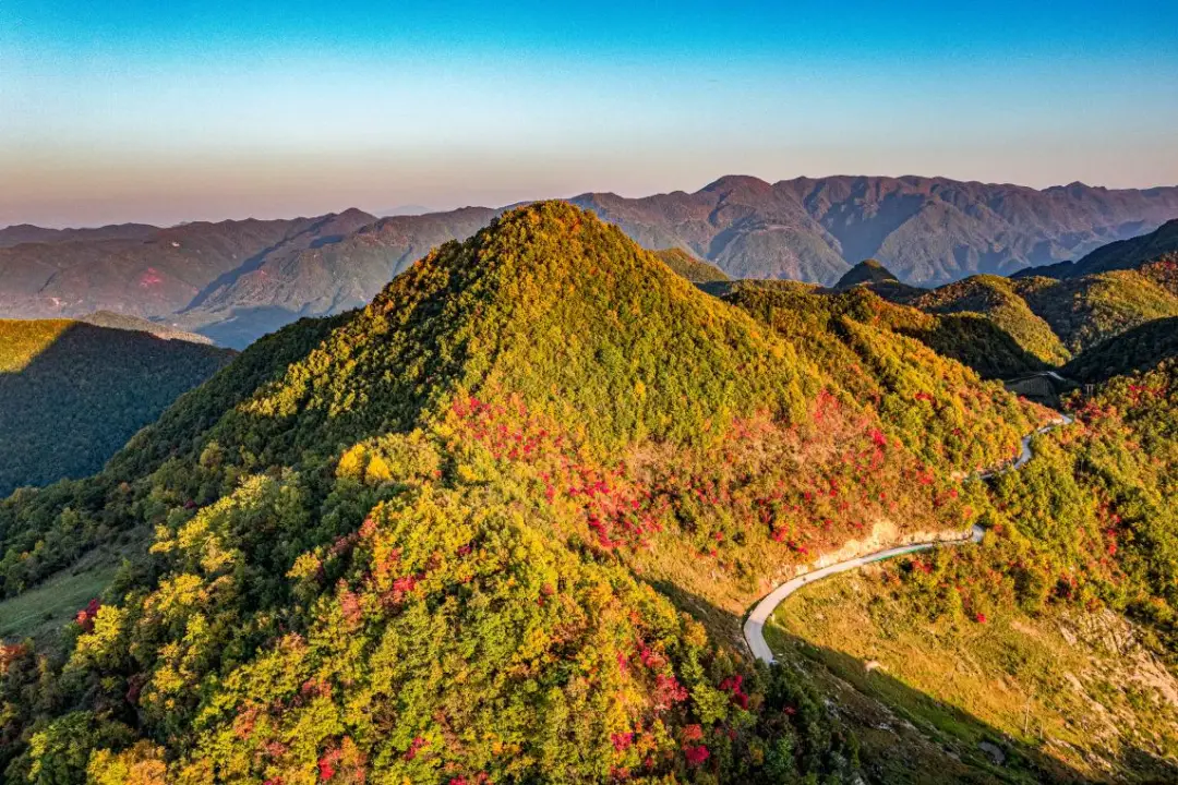 紫阳富硒茶怎么发朋友圈