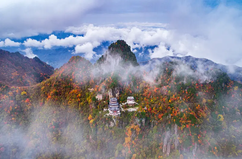 紫阳富硒茶怎么发朋友圈