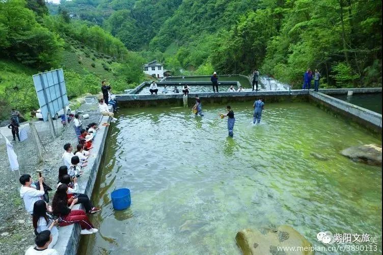 紫阳富硒茶观光园农家乐