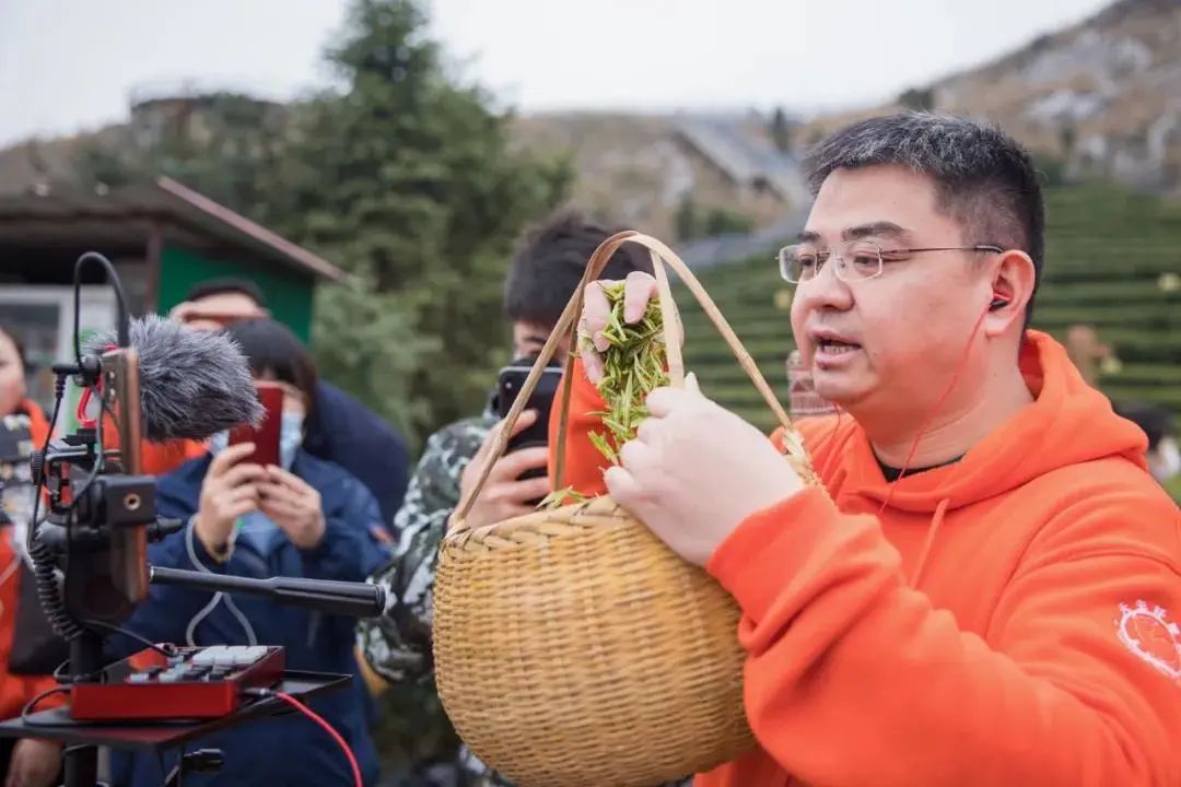 紫阳县富硒茶产区在哪里