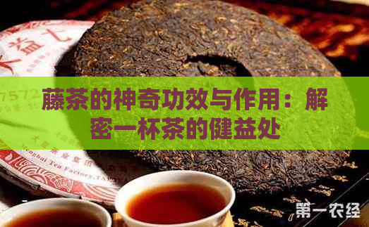 藤茶的神奇功效与作用：解密一杯茶的健益处