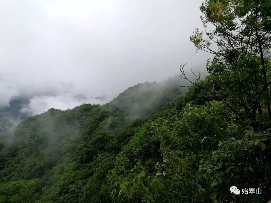 陕西富硒茶喝了有什么用