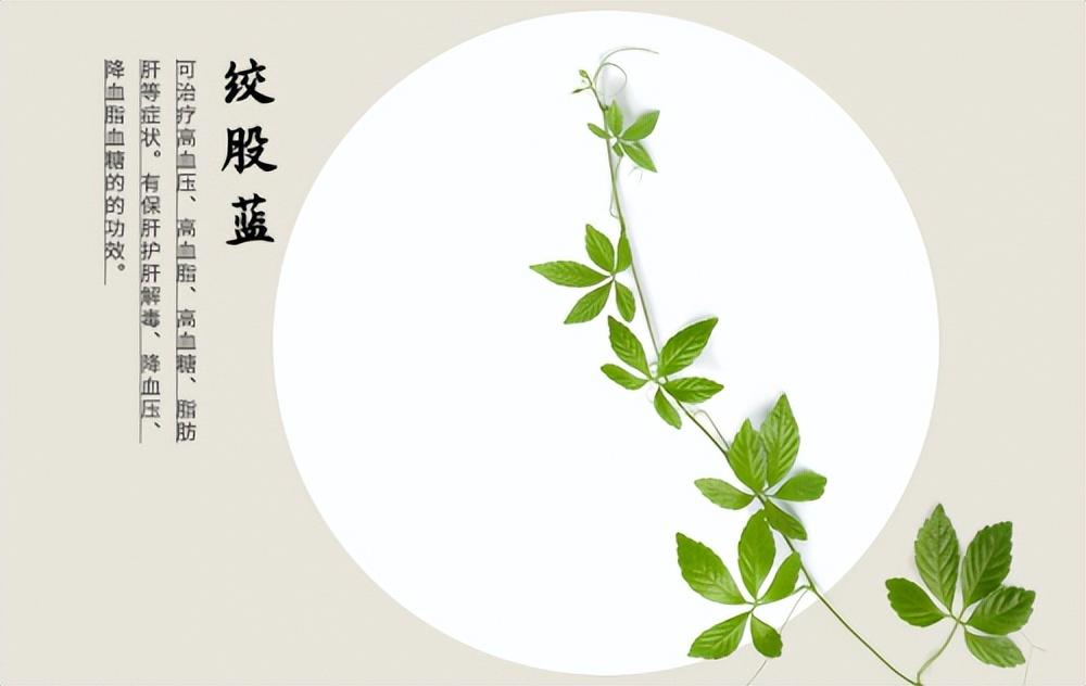 陕青与紫阳富硒茶哪个好