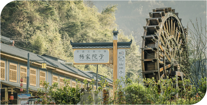 陕西安康龙腾紫阳富硒茶