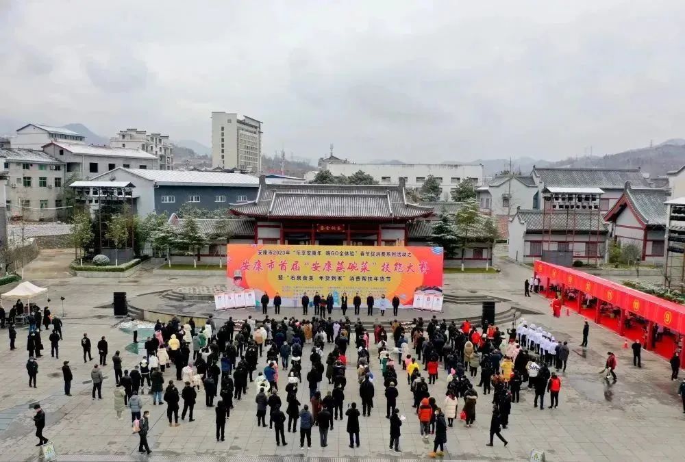 陕西安康龙腾紫阳富硒茶