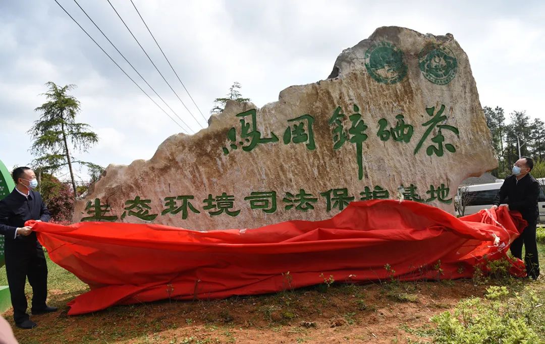 陕南特色富硒茶产业基地