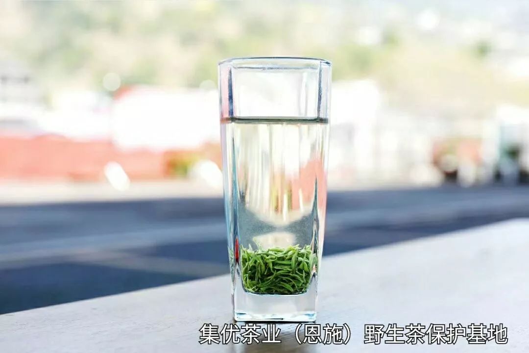 富硒茶蒸青好还是炒青好