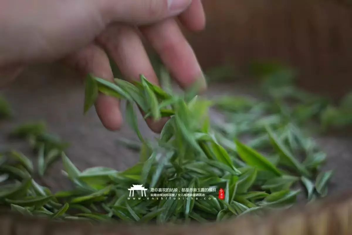 富硒茶蒸青好还是炒青好