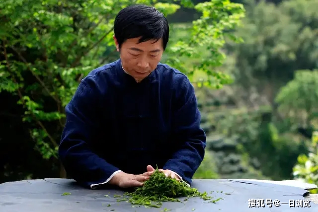 旬阳县有特产紫阳富硒茶