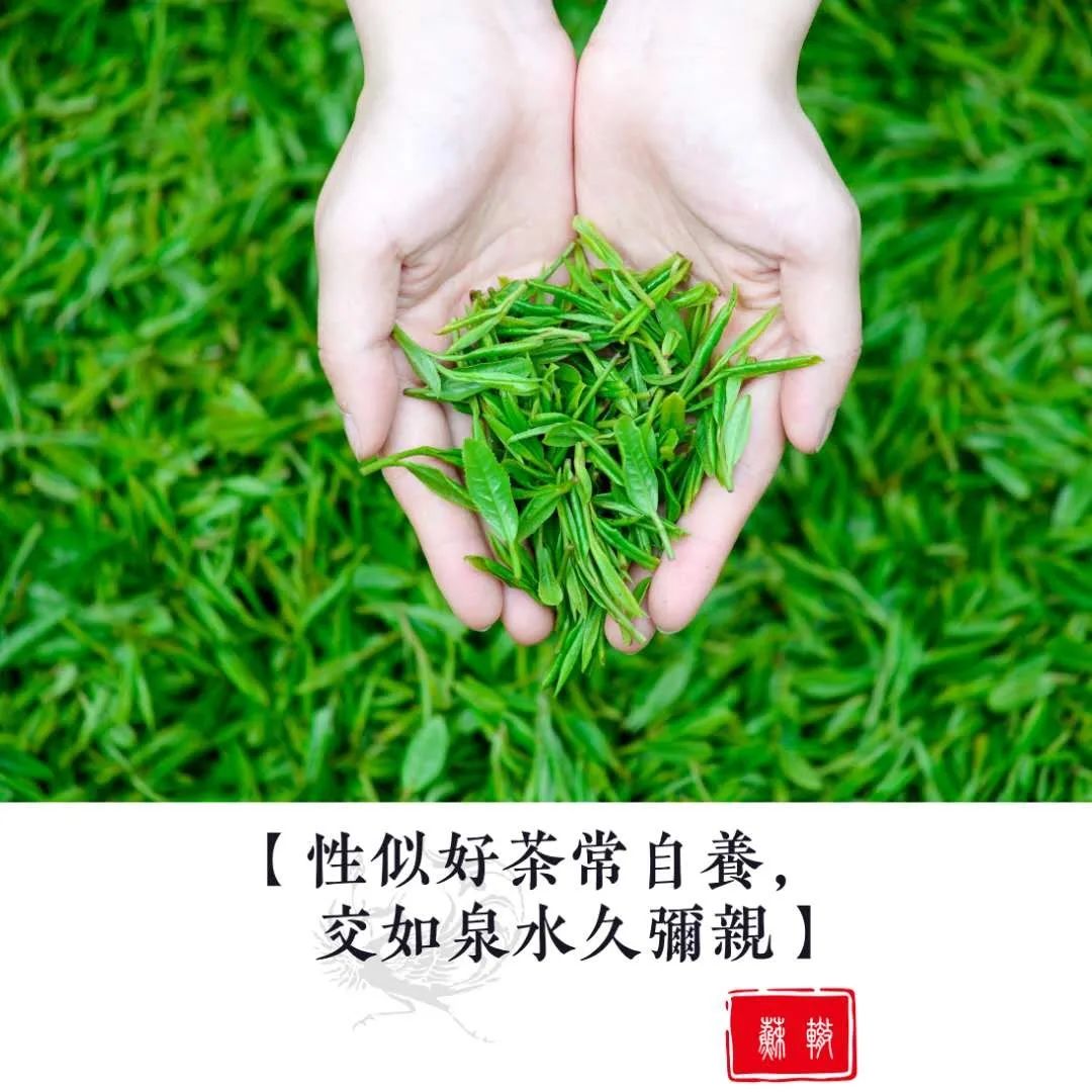 糖高的人可以喝富硒茶吗