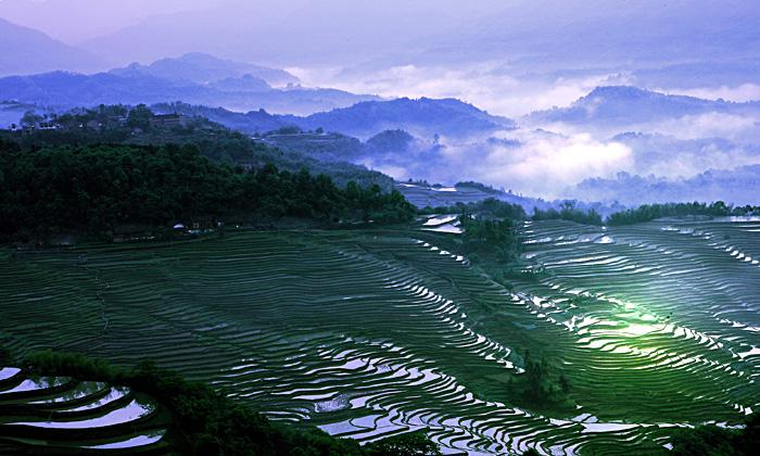 贵州哪些地方产富硒茶好