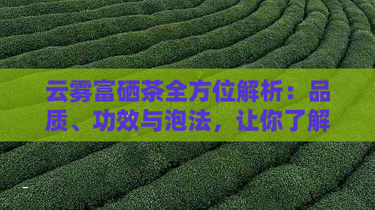 云雾富硒茶全方位解析：品质、功效与泡法，让你了解这种独特茶叶的各个方面